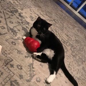 Meet your Posher, Megan